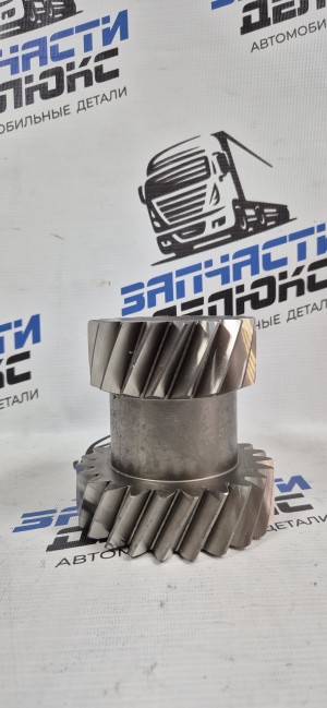 Шестерня двойная 1/2 (ZF 1324 303 017/1324 303 015)
